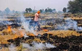 पराली को जलाने से रोकने आए अधिकारी के साथ किसानों की गुंडागर्दी